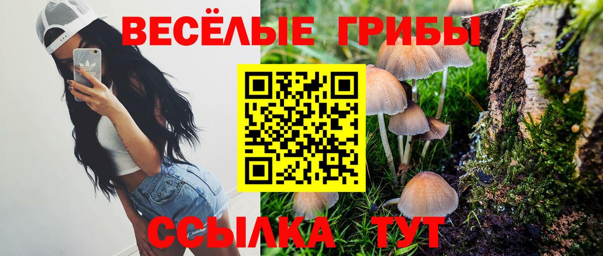 Галлюциногенные грибы ЛСД  Вход с VPN  Камышлов 