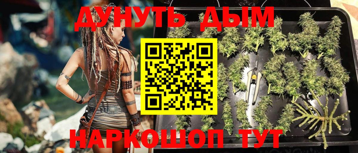 Камышлов  Каннабис VHQ  Вход с VPN  Каннабис Amnesia  Канабис Bruce Banner 